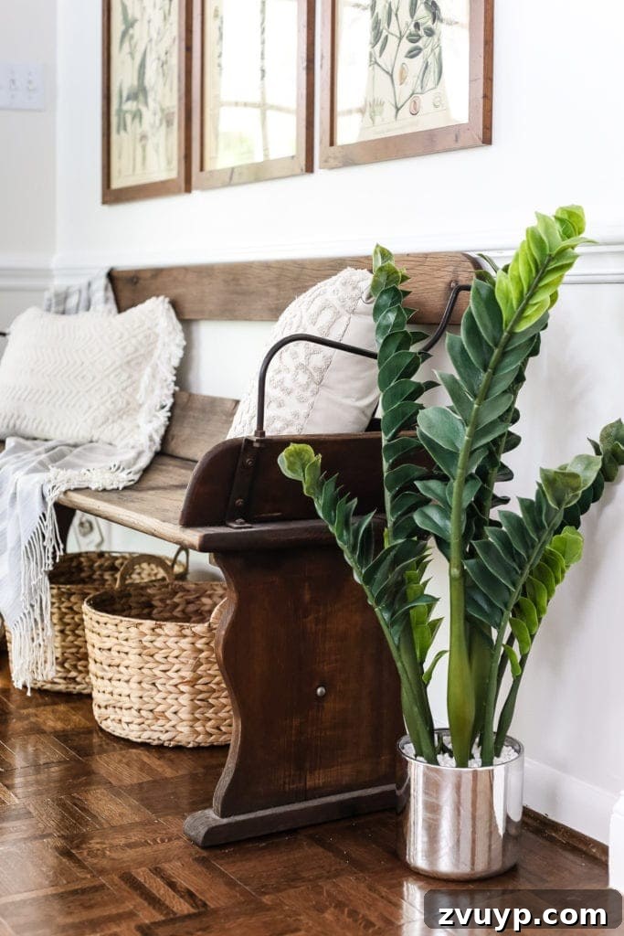 Instant Style: Botanical Printables and a Clever Wall Hanging Hack 2 Botany Printable Art and a Wall Decor Hanging Trick | blesserhouse.com - A free download of botany printable art perfect for spring and summer, plus a wall decor hanging hack to make hanging frames quick and easy.