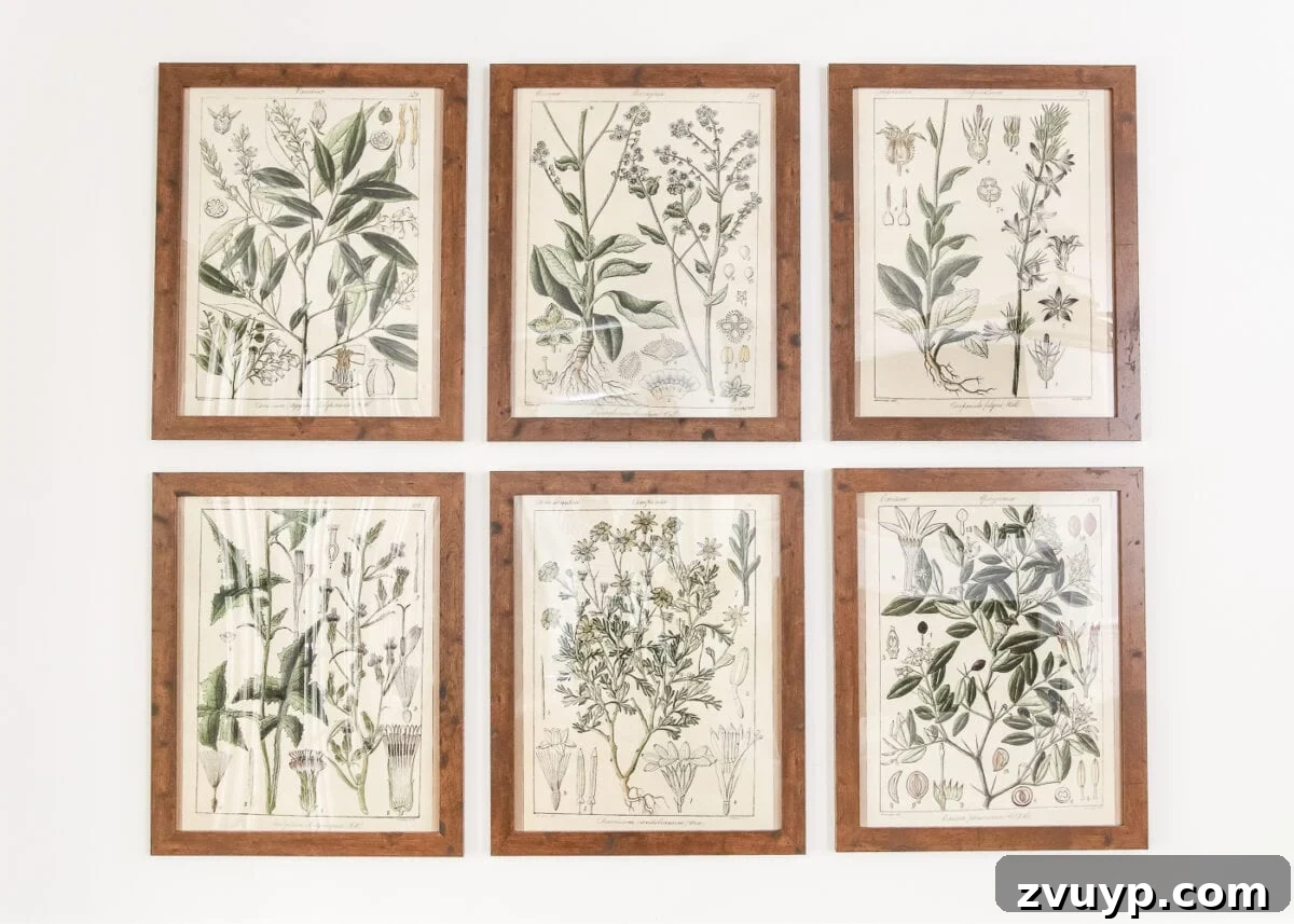 Instant Style: Botanical Printables and a Clever Wall Hanging Hack 11 Botany Printable Art and a Wall Decor Hanging Trick | blesserhouse.com - A free download of botany printable art perfect for spring and summer, plus a wall decor hanging hack to make hanging frames quick and easy.