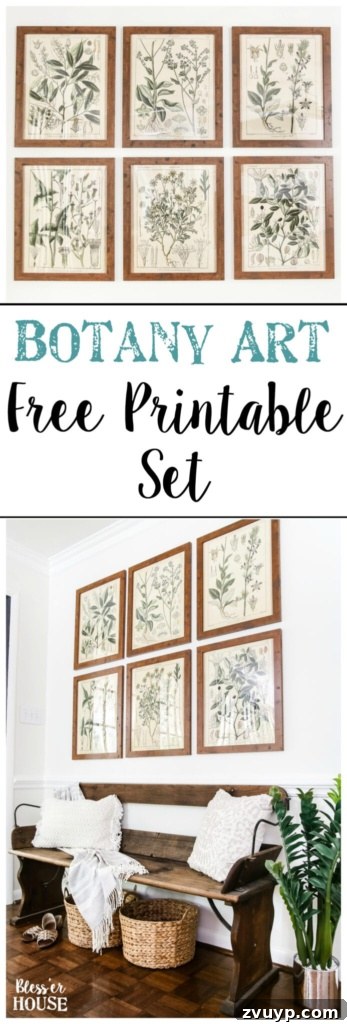 Instant Style: Botanical Printables and a Clever Wall Hanging Hack 12 Botany Printable Art and a Wall Decor Hanging Trick | blesserhouse.com - A free download of botany printable art perfect for spring and summer, plus a wall decor hanging hack to make hanging frames quick and easy.