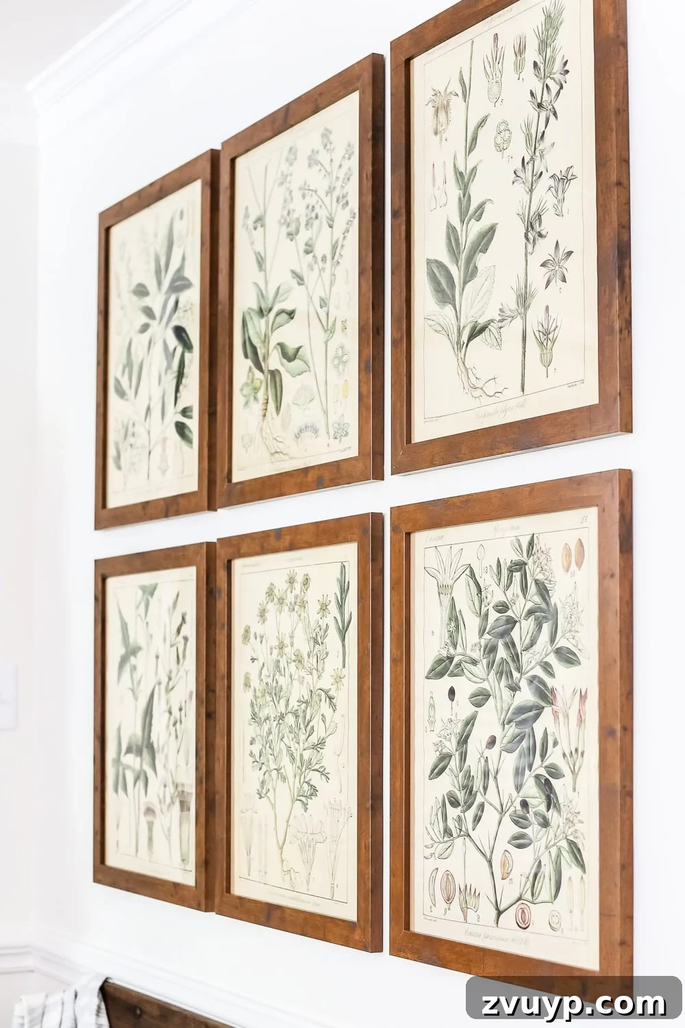 Instant Style: Botanical Printables and a Clever Wall Hanging Hack 4 Botany Printable Art and a Wall Decor Hanging Trick | blesserhouse.com - A free download of botany printable art perfect for spring and summer, plus a wall decor hanging hack to make hanging frames quick and easy.