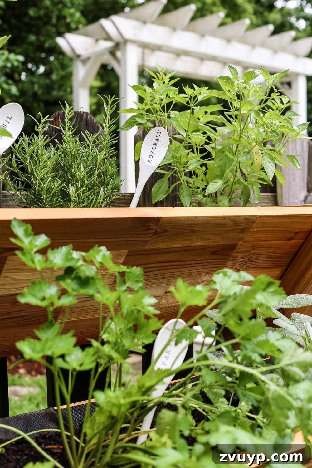 Whimsical Wooden Spoon Garden Labels 11 DIY Wooden Spoon Garden Markers | A variety of fresh herbs growing in a stacked garden, each clearly identified with a handmade wooden spoon marker. Perfect for inspiring new recipes.