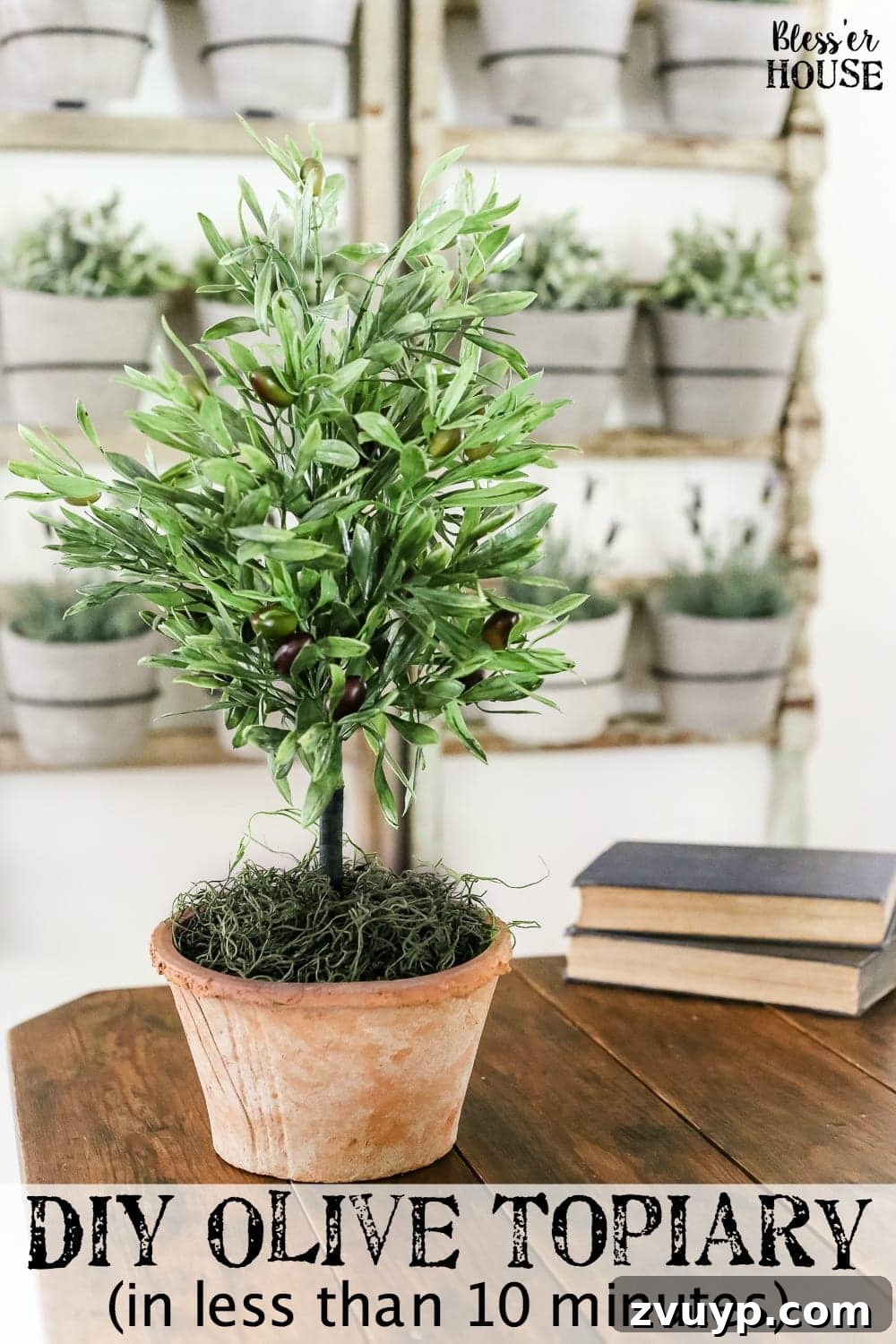 Craft Your Own Olive Topiary 2 Elegant DIY Olive Topiary Tree showcasing a beautiful faux olive plant in a terracotta pot, perfect for serene home decor.