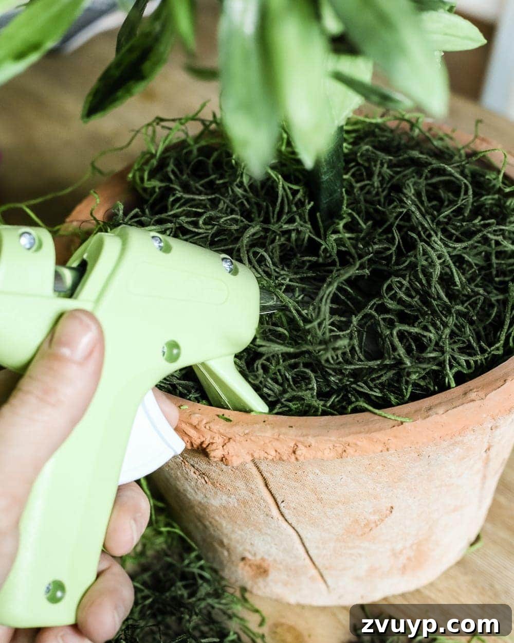 Craft Your Own Olive Topiary 8 Adding Spanish moss to cover floral foam in a DIY olive topiary pot for a natural finish.