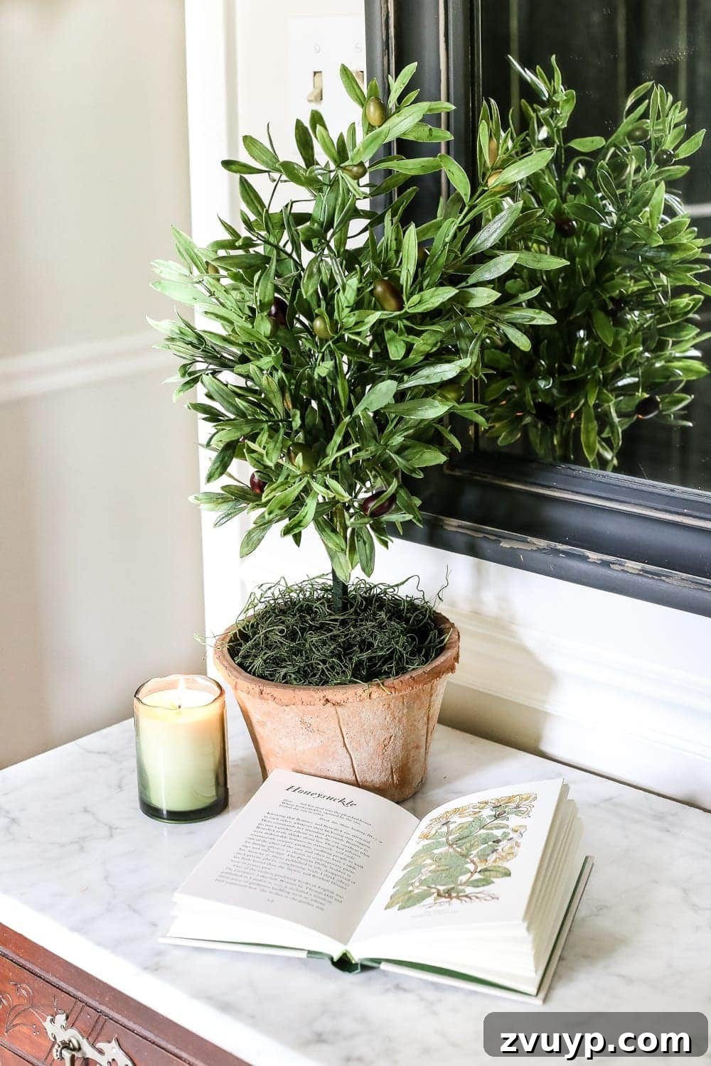 Craft Your Own Olive Topiary 9 Beautifully crafted DIY olive topiary tree with faux olive branches in a terracotta pot, ready for home staging.