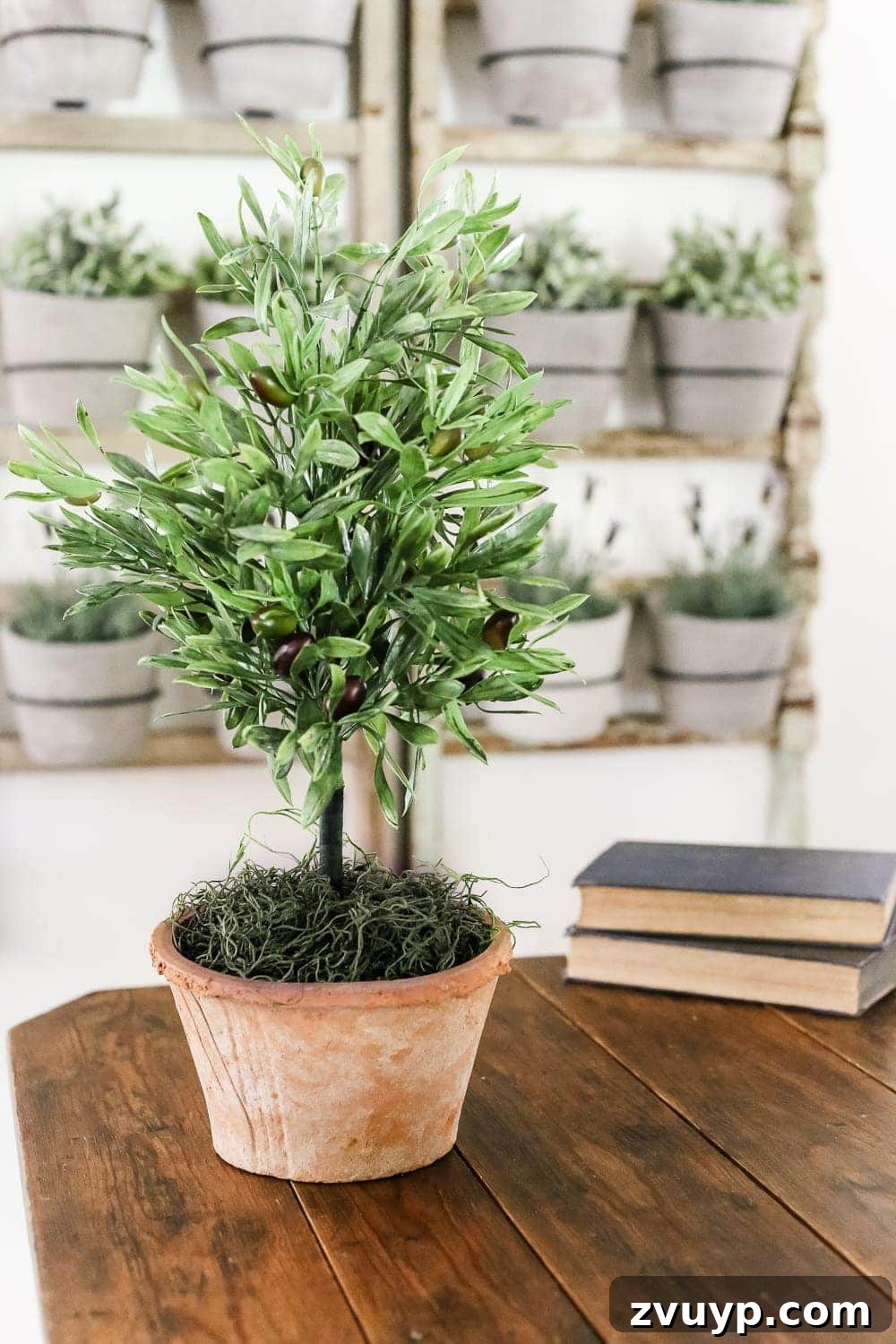 Craft Your Own Olive Topiary 10 DIY olive topiary displayed on a foyer table with other decor, showcasing its year-round appeal.