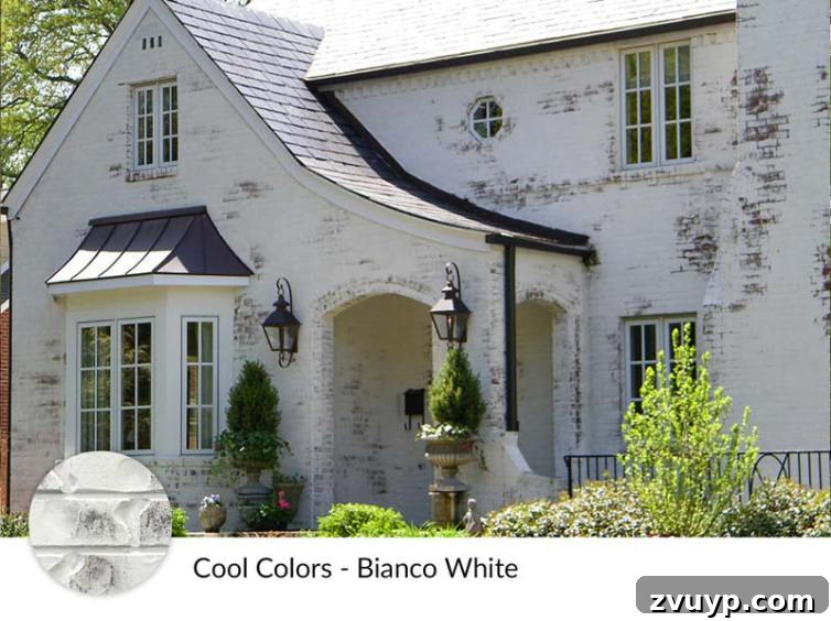 Revitalize Your Brick Exterior with Limewash 7 Limewash Brick Exterior Plans | blesserhouse.com - A full exterior brick house makeover plan using real slaked limewash paint and trim color options for a classic European look.