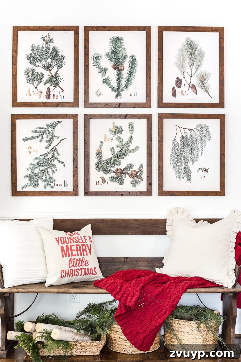 Snow-Kissed Botanical Gallery Prints 3 Free Winter Evergreen Botanical Prints for a Christmas Gallery Wall