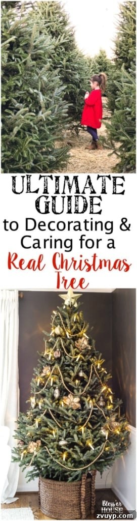 Craft Your Perfect Tree: A Step-by-Step Real Christmas Tree Decorating Guide 16 The Ultimate Guide to Decorating and Caring for a Real Christmas Tree | blesserhouse.com - A step-by-step guide for decorating a real Christmas tree like a pro and how to take care of it to make it last throughout the holiday season. #realchristmastree #livechristmastree #christmastree #treedecor