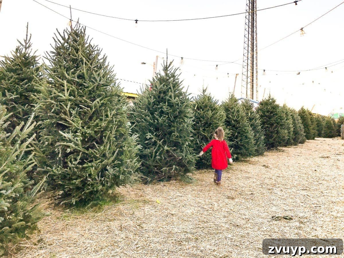 Craft Your Perfect Tree: A Step-by-Step Real Christmas Tree Decorating Guide 3 little girl at a tree farm