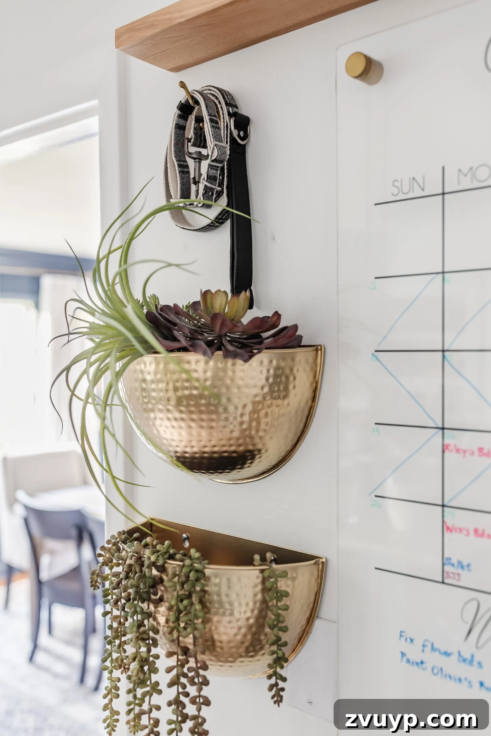 Master Family Chaos Your Command Center Guide 11 hammered brass wall planters with hook for dog leash