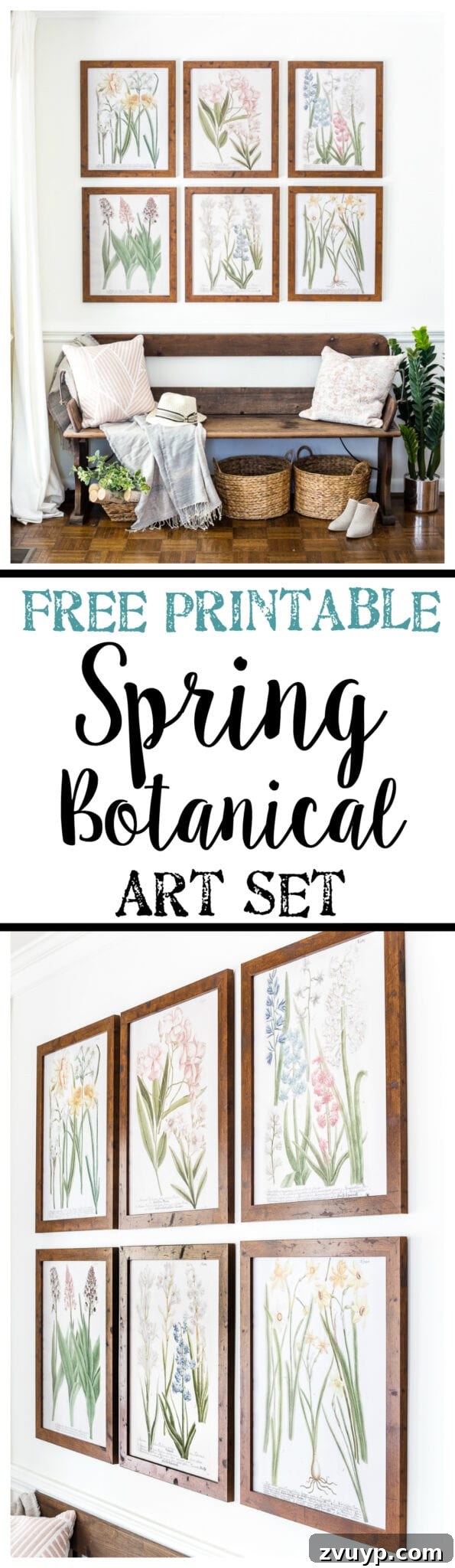 Vibrant Spring Botanical Gallery Prints 9 Beautiful close-up of framed spring botanical art for DIY home decorating