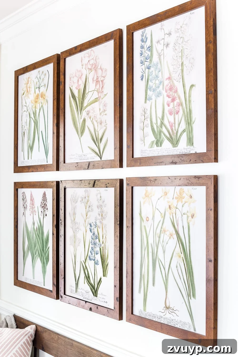 Vibrant Spring Botanical Gallery Prints 4 Close-up of spring botanical art prints framed as elegant wall decor