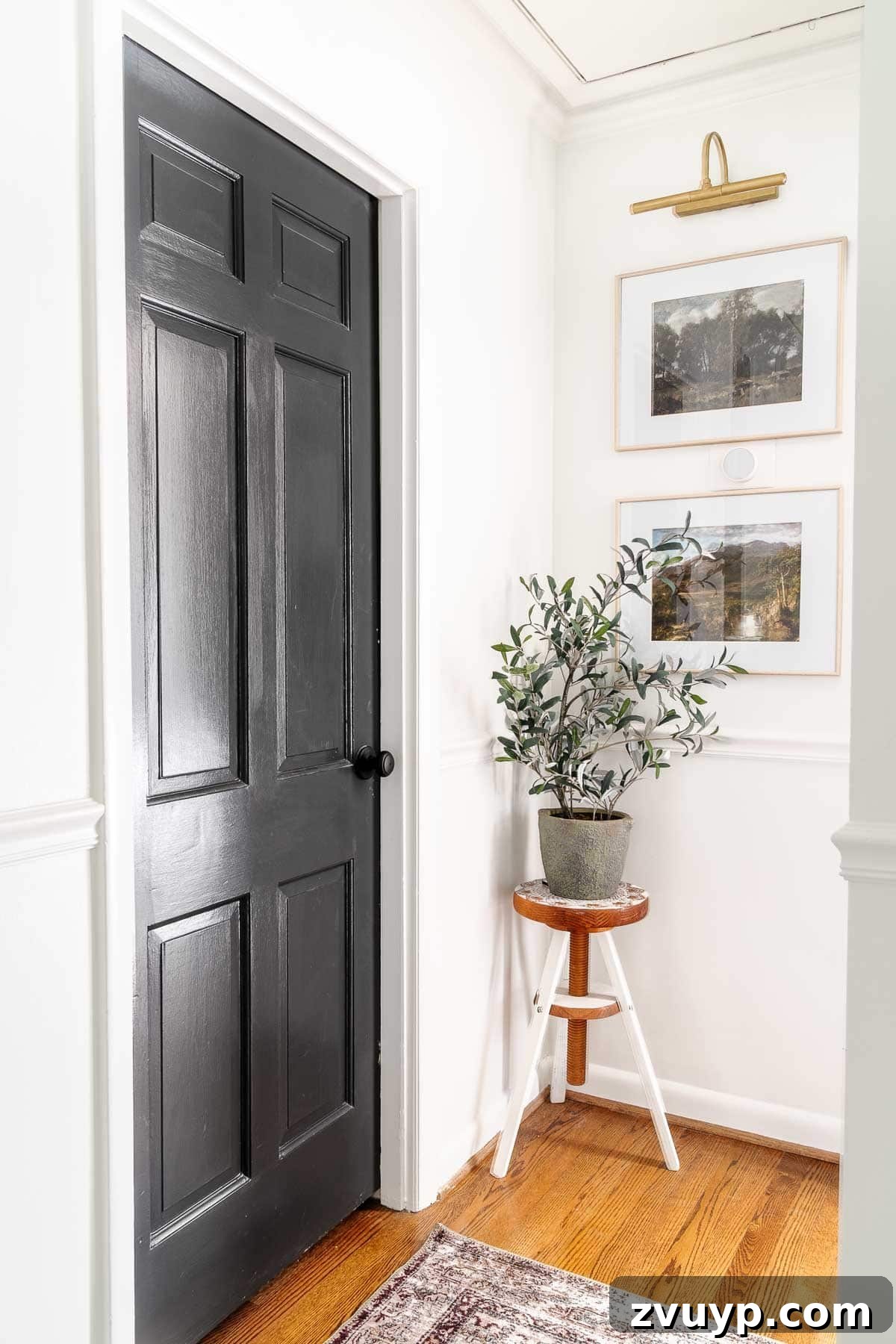 A narrow hallway painted with contrasting black door and white walls, adorned with a faux plant, elegant art, and a sophisticated picture light.