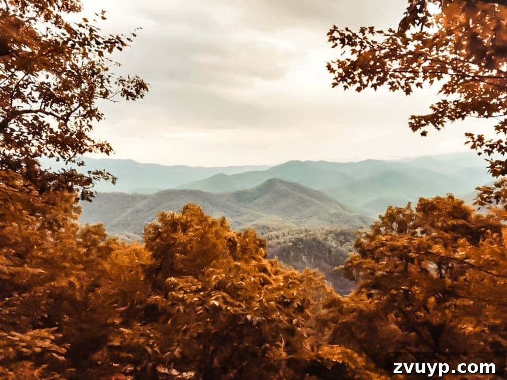 Fall Mountain Vista Art Print 3 Autumn mountain landscape art printable and fall kitchen shelf vignette + more free fall printables