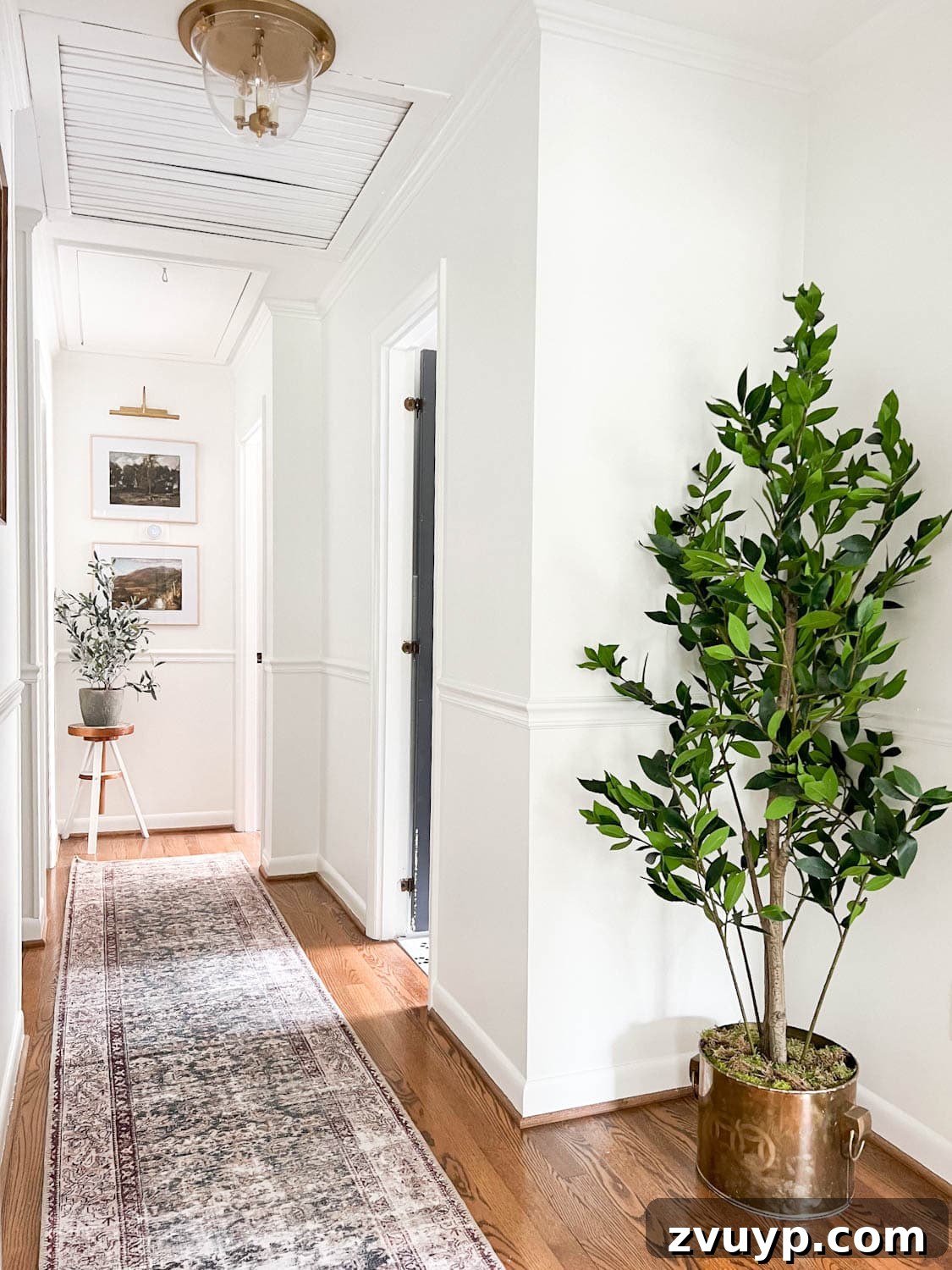 Hallway decor with a runner rug and vibrant plants
