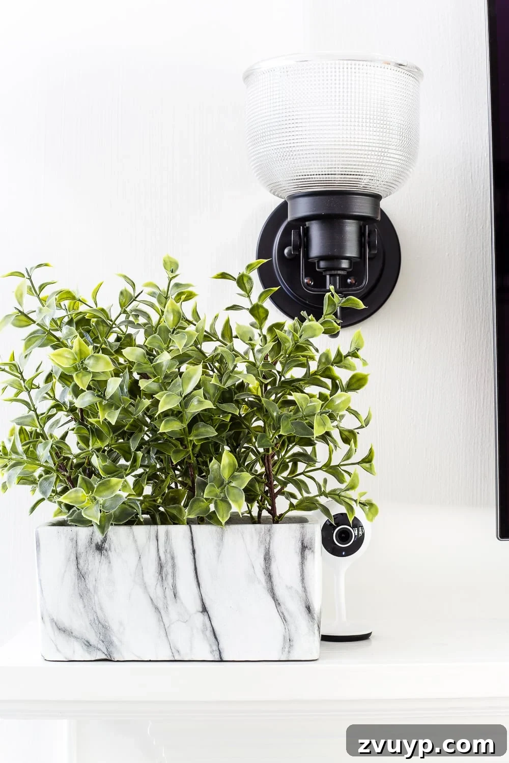 Clever Ways to Camouflage Household Eyesores 24 Place small electronics, cameras, and routers beside or behind plants.