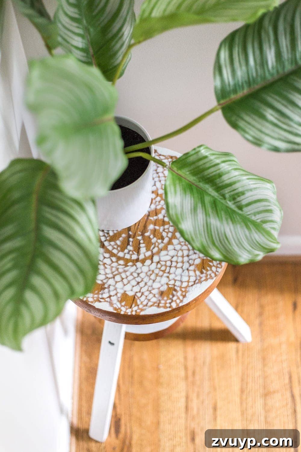 The newly transformed piano stool plant stand, featuring a subtle doily stencil and crisp white paint, beautifully complements global-inspired decor and adds an Anthropologie-esque charm to a home setting.