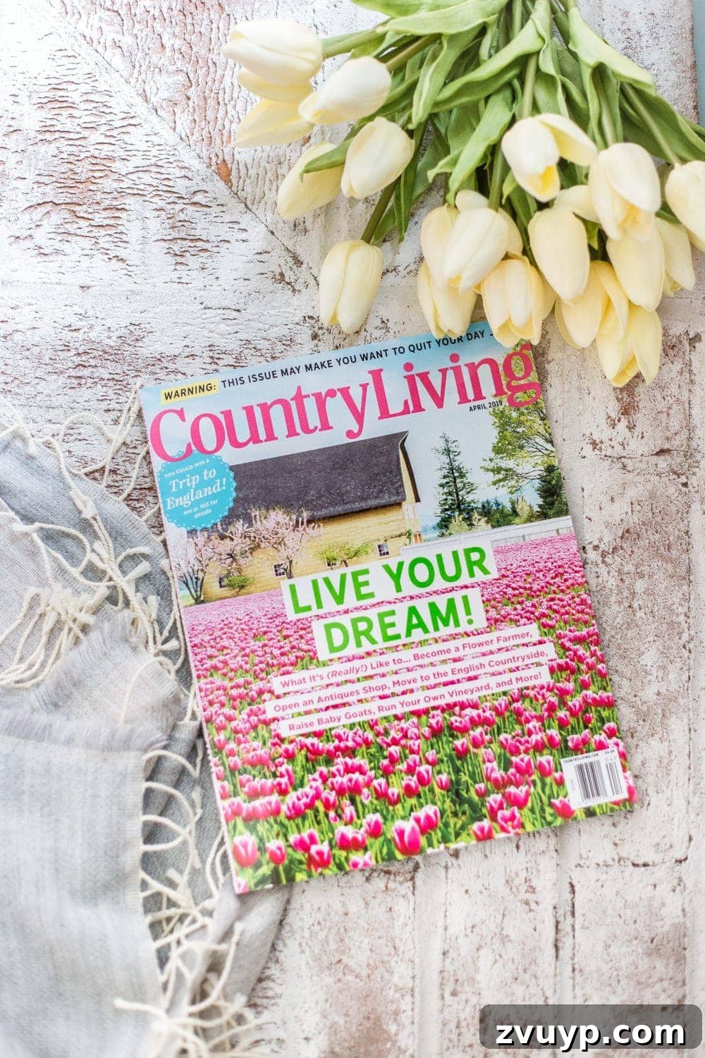 Your Questions Answered: Limewashed Brick and Country Living Magazine 3 FAQs About Our Limewashed Brick | All of our frequently asked questions about our limewashed brick concerning neighbors' opinions, trends, DIY-ability, and why we chose it over paint. #limewash #brickexterior #limewashedbrick #brickpaint #paintedbrick #exteriormakeover #curbappeal #brickhouse