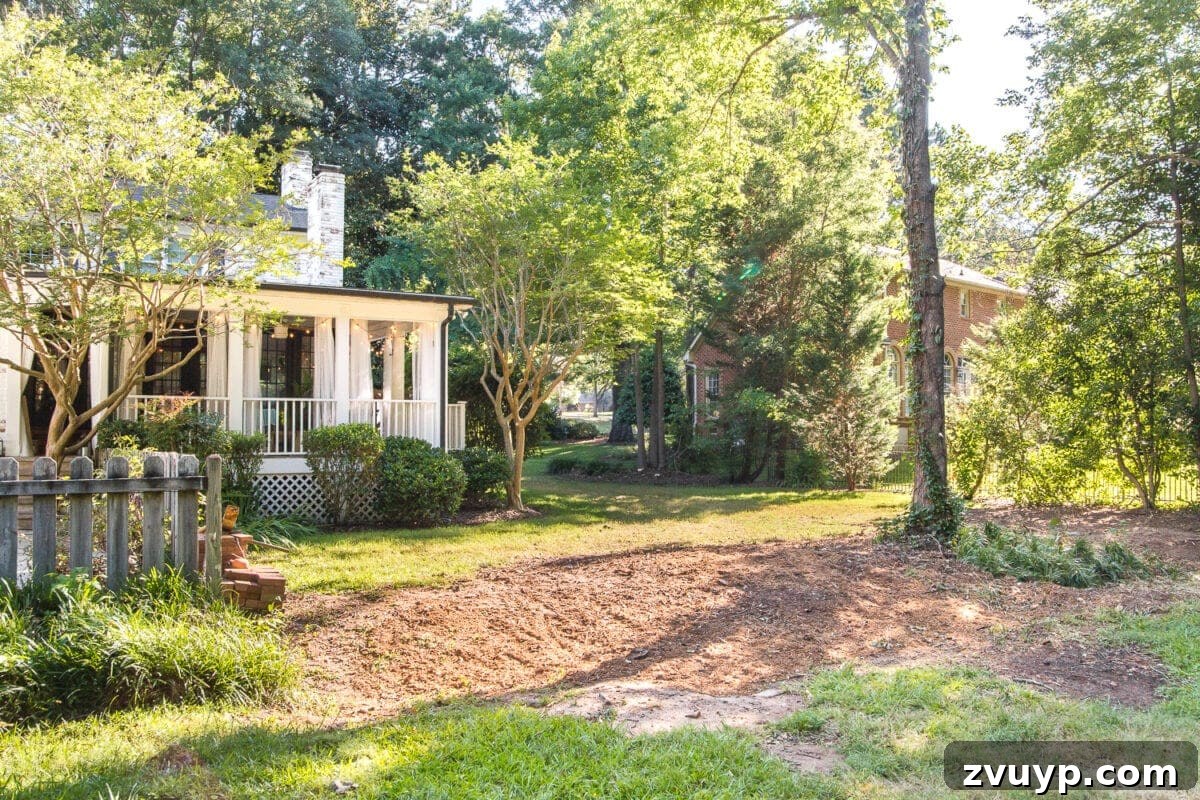 Our Evolving Backyard Sanctuary 4 Dramatic before and after of backyard landscaping showing extensive tree and brush removal, creating a vastly more open and usable outdoor space for families.