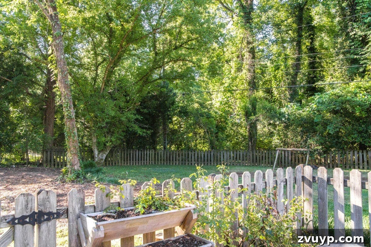 Our Evolving Backyard Sanctuary 5 Post-landscaping view of a newly opened backyard, demonstrating ample space for activity while retaining natural privacy from remaining perimeter trees.