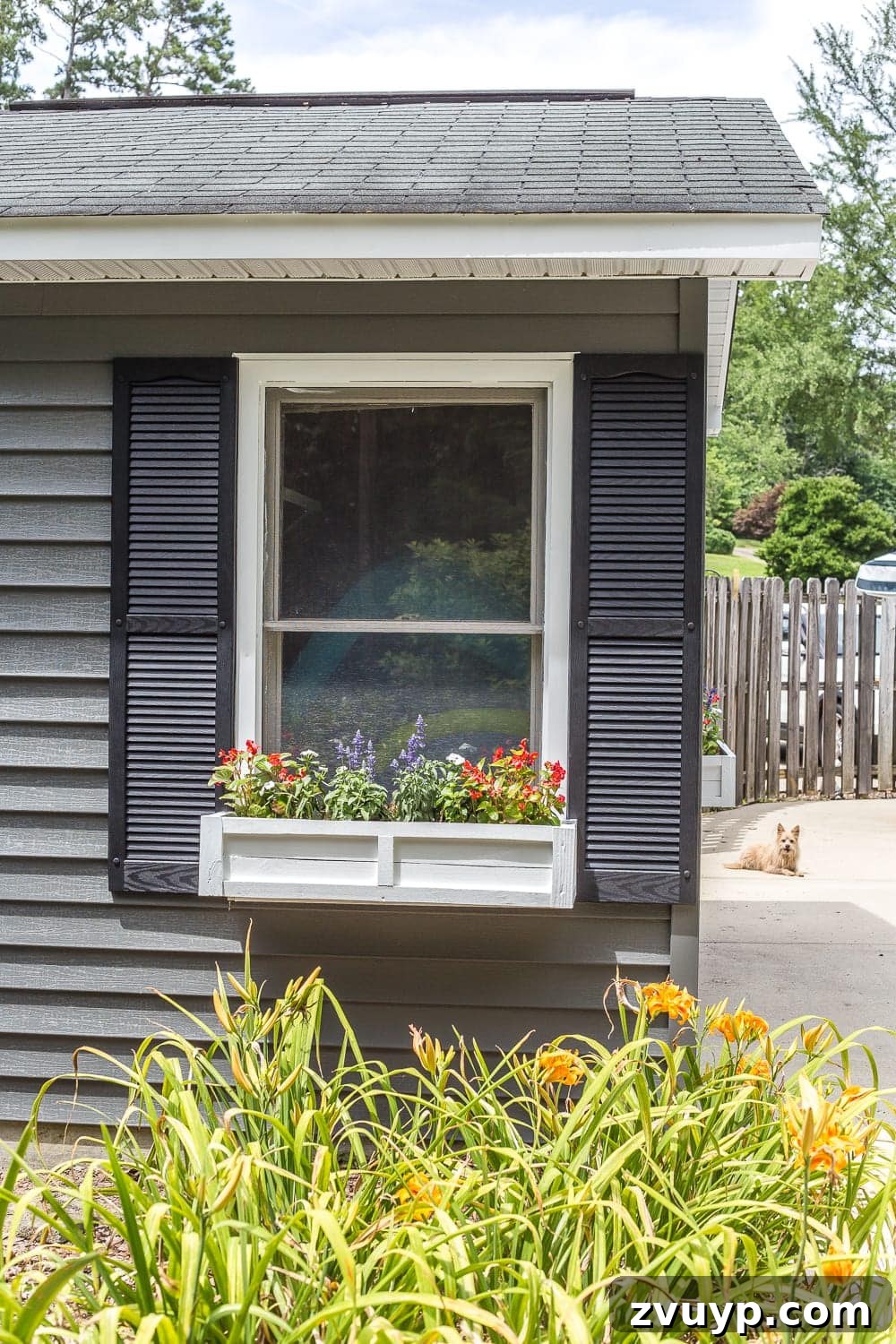 Refresh Your Exterior: Vinyl Siding Painting and Pool Shed Makeover 7 Detailed view of the painted vinyl siding pool shed with new black vinyl shutters and a handmade wooden window box