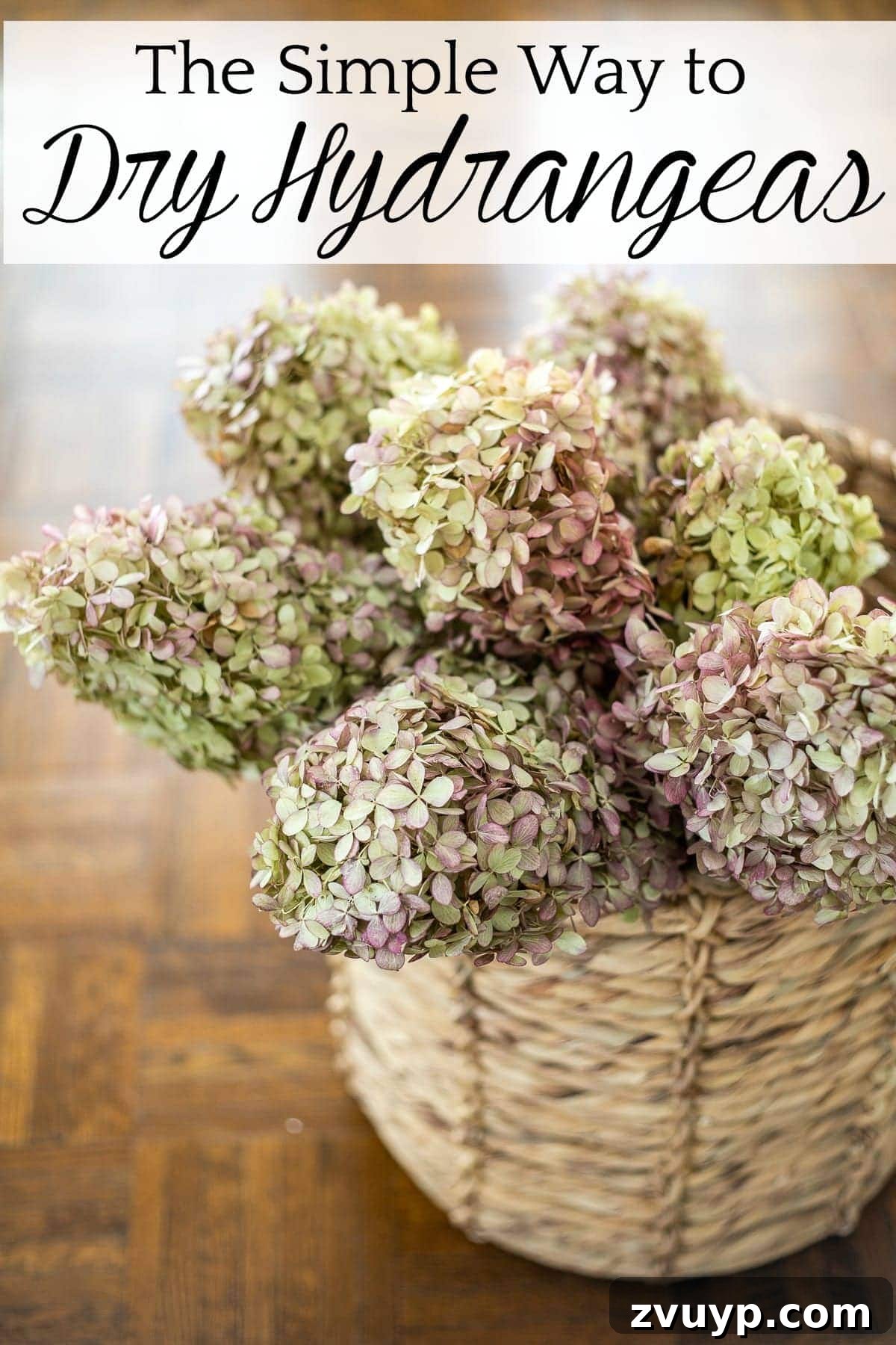 Crafting Beautiful Pressed Blooms 12 how to dry hydrangea for fall decor