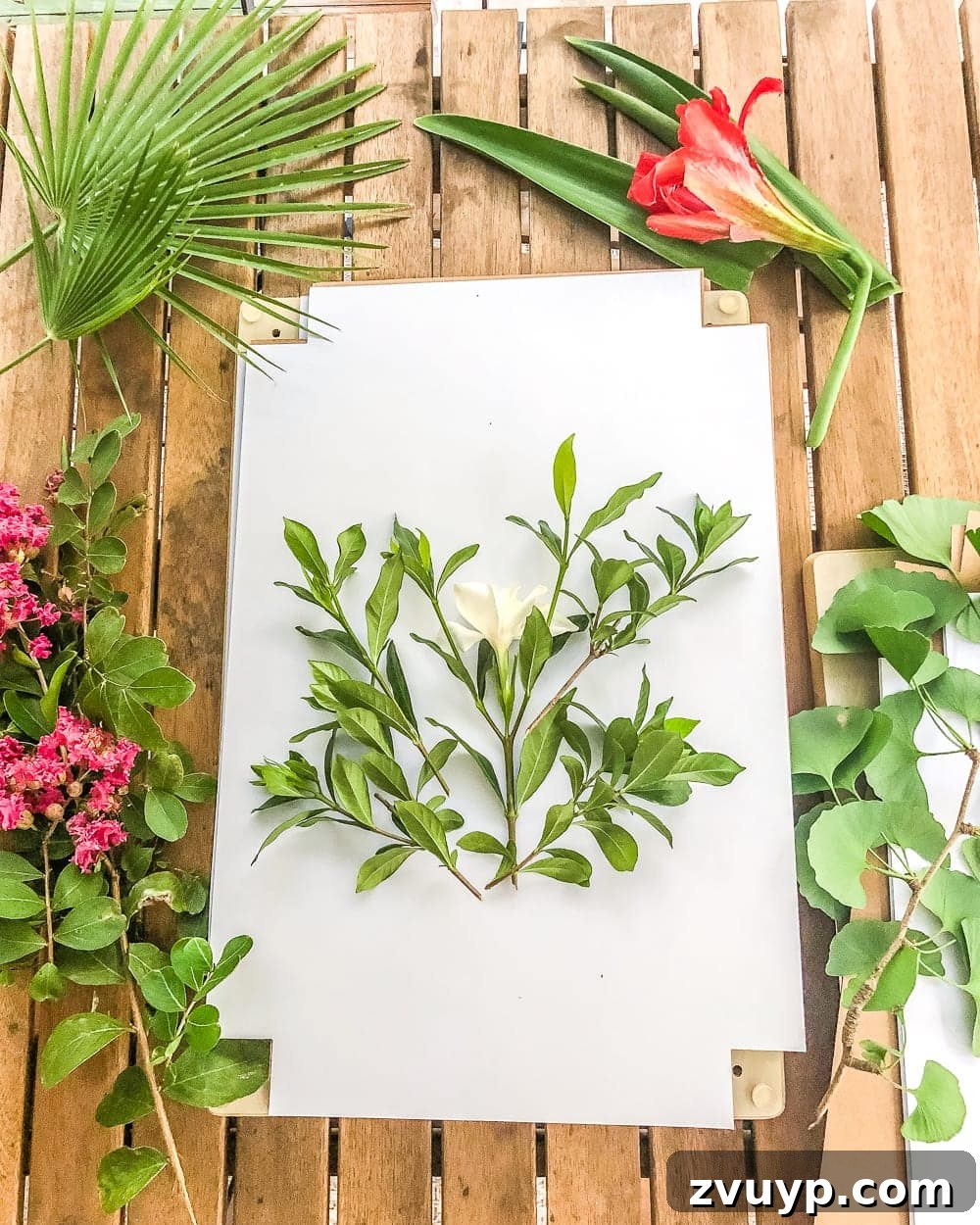 Crafting Beautiful Pressed Blooms 4 DIY Pressed Flower Art | How to press flowers and leaves from your own backyard to frame as inexpensive, vintage-inspired wall decor.