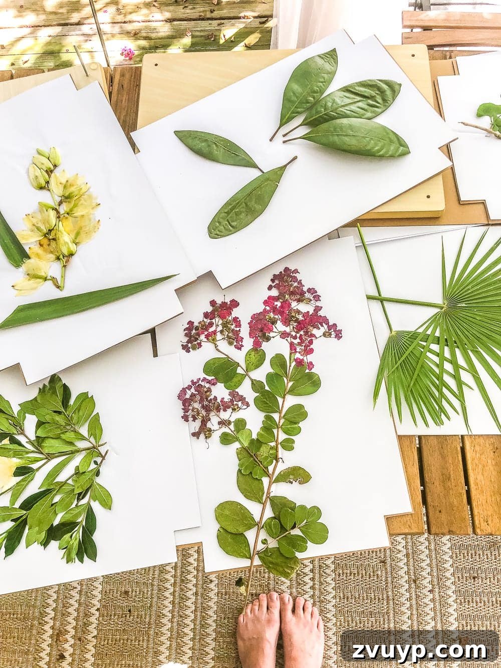 Crafting Beautiful Pressed Blooms 6 DIY Pressed Flower Art | How to press flowers and leaves from your own backyard to frame as inexpensive, vintage-inspired wall decor.