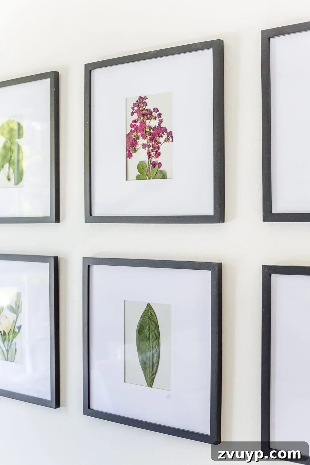 Crafting Beautiful Pressed Blooms 7 DIY Pressed Flower Art | How to press flowers and leaves from your own backyard to frame as inexpensive, vintage-inspired wall decor.