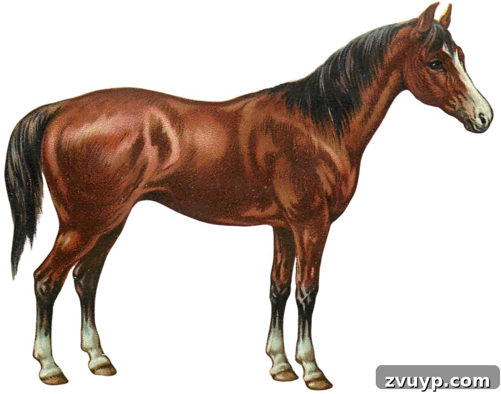 img 3555 1