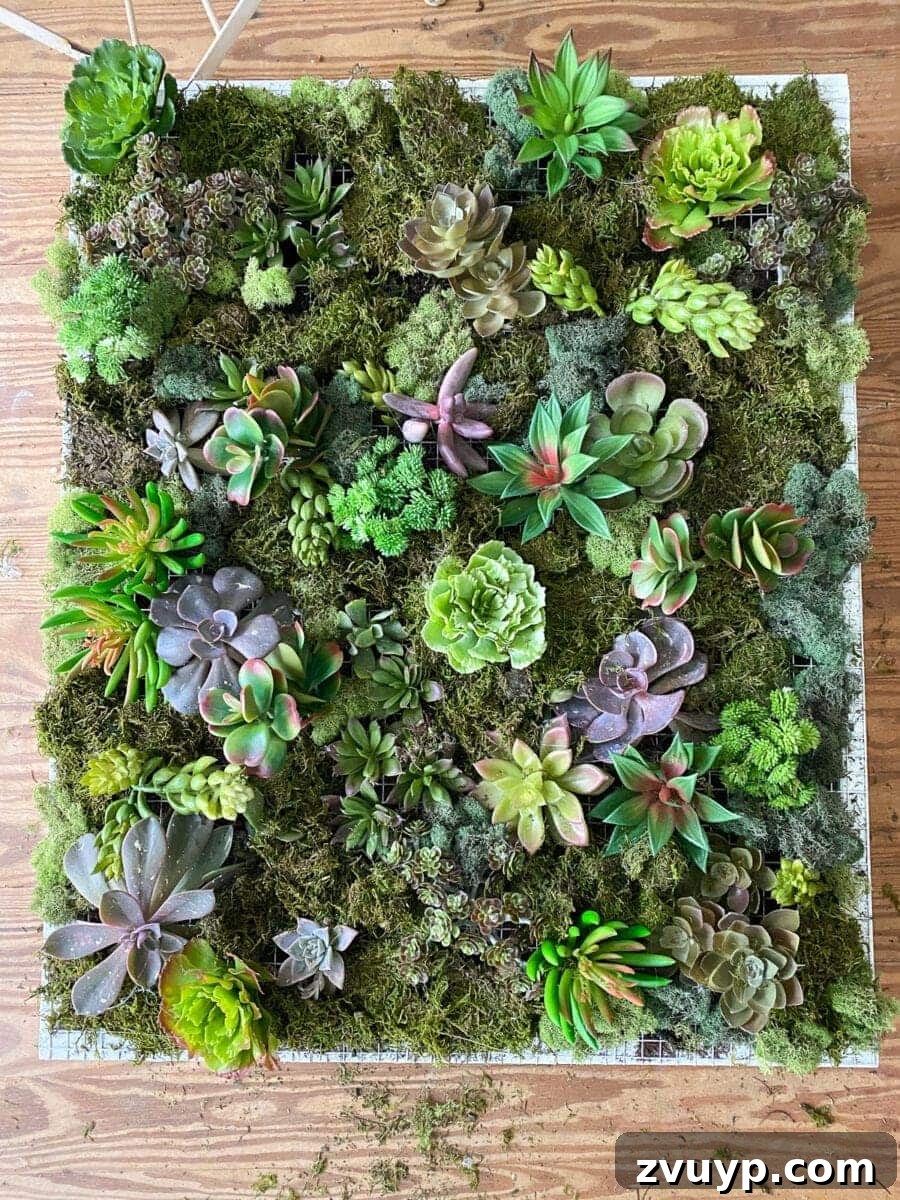 Craft a Vertical Garden from Reclaimed Wood 18 Filling gaps between succulents with decorative moss, secured with hot glue, to complete the aesthetic of the vertical wall planter.