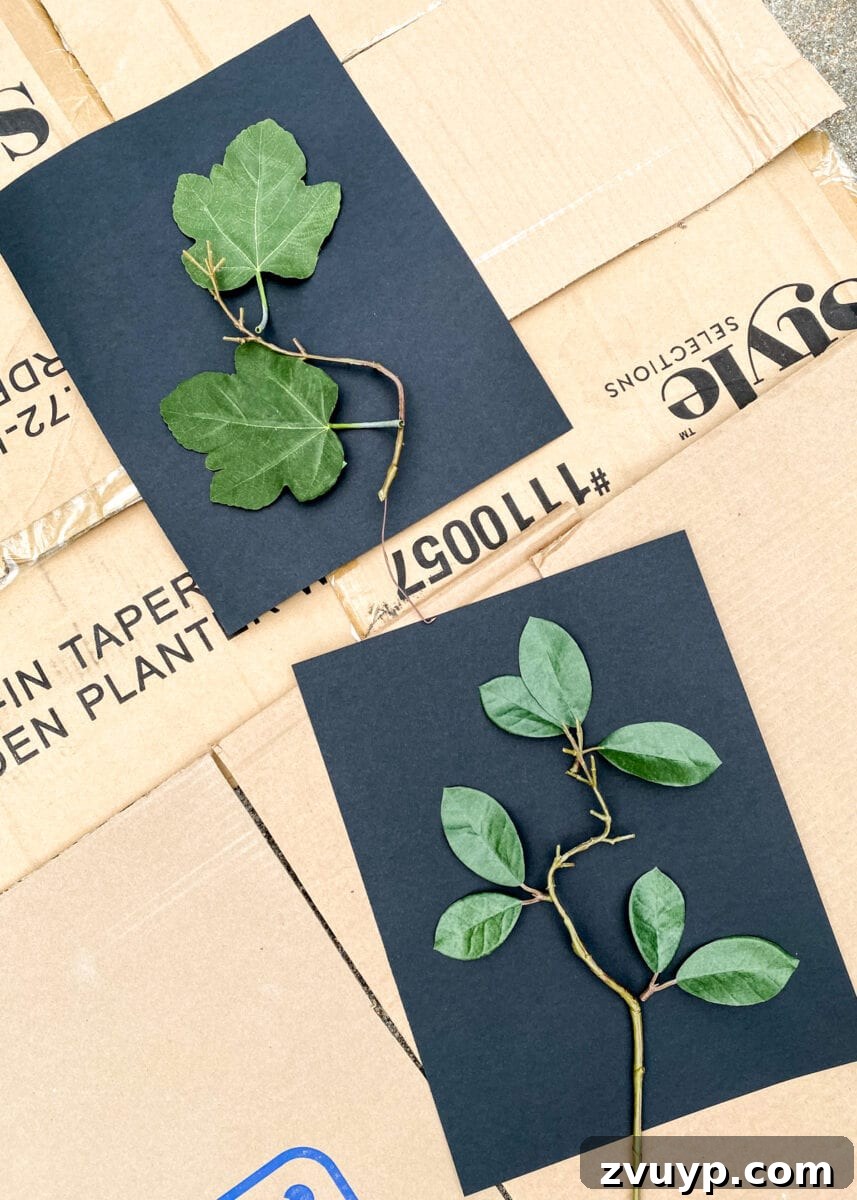 Botanical Silhouettes: Easy Leaf Painting 5 DIY leaf art using leaves and spray paint