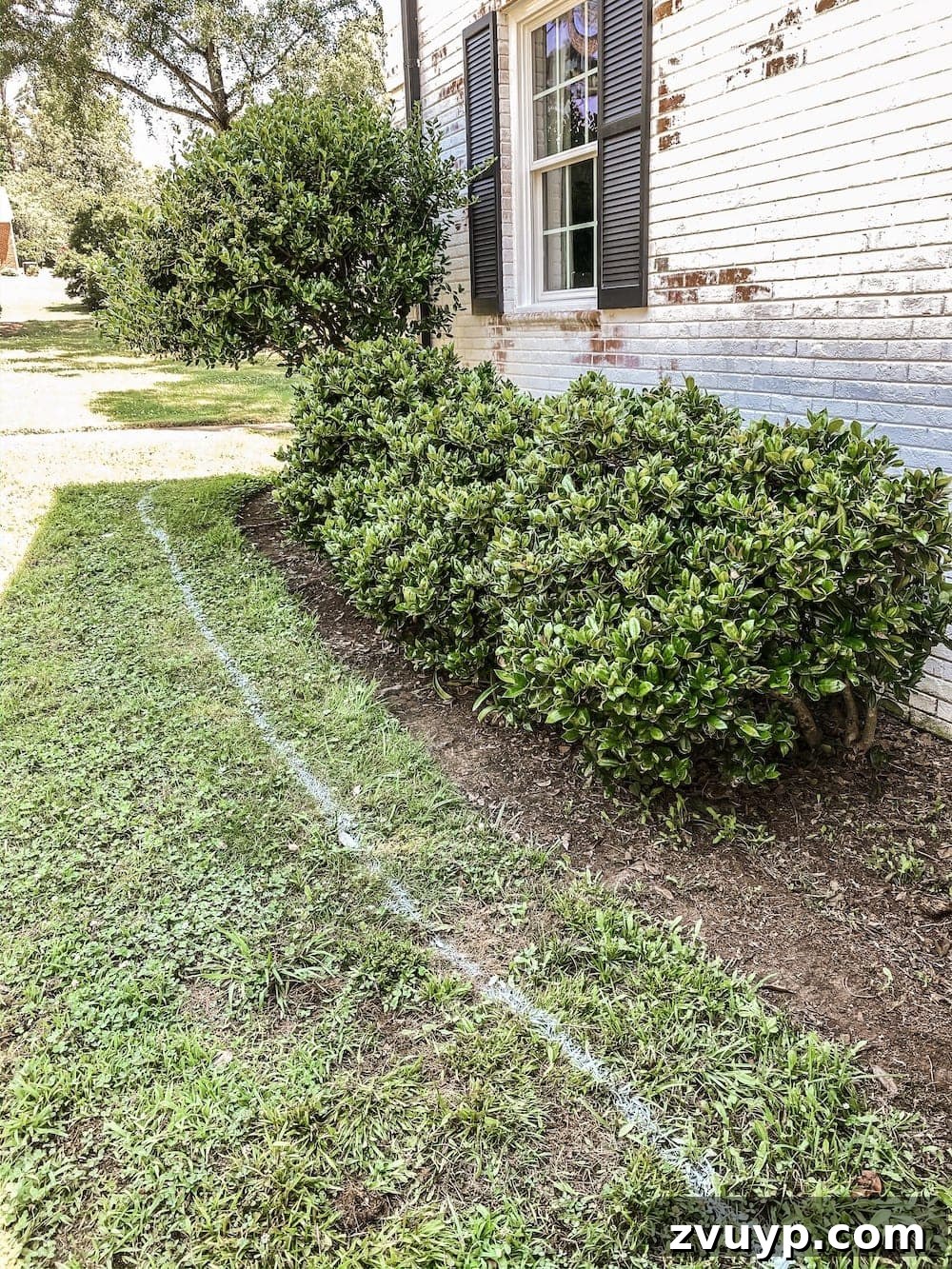 Front Flower Bed DIY Transformation 7 Measuring and marking new flower bed boundaries with white spray paint on the lawn.