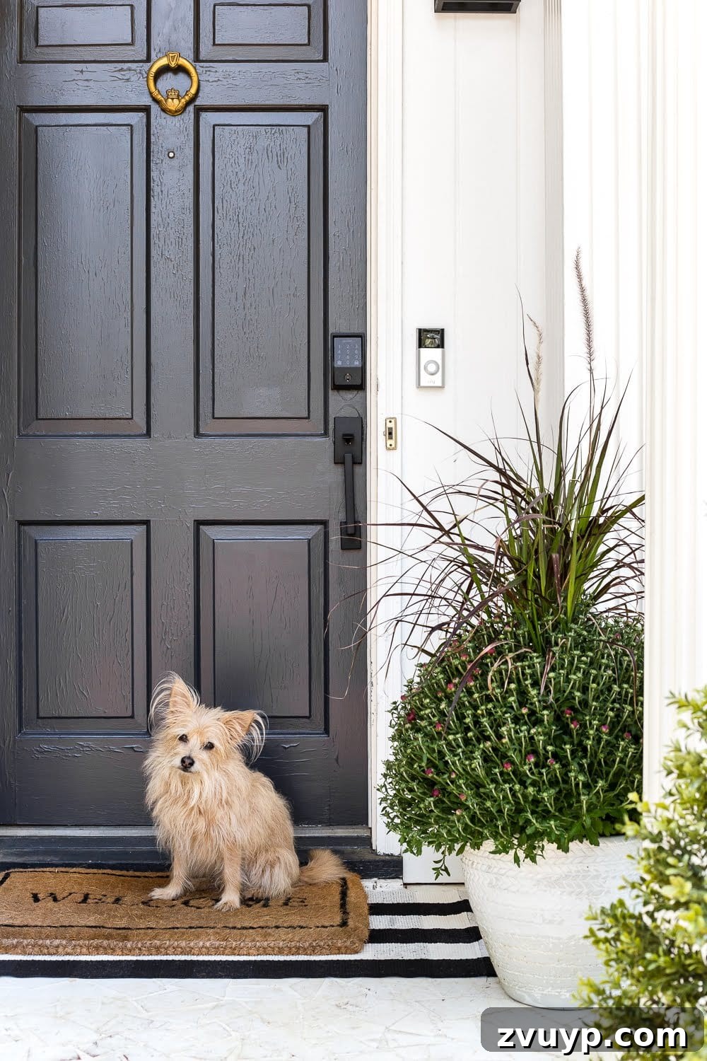 Create Your Cozy Fall Haven: DIY Decor Ideas 11 fall planters on a front porch with mums and ornamental grass