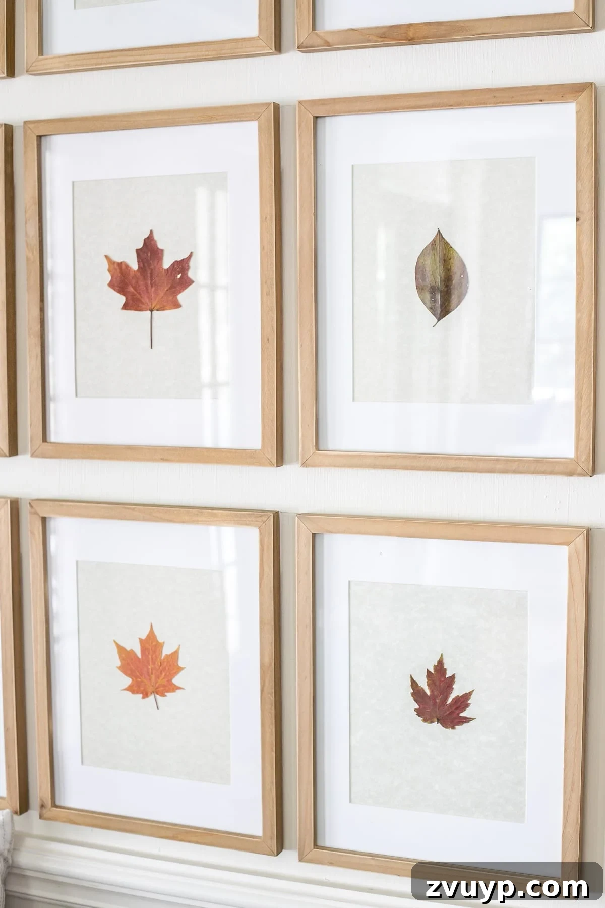 Pressed Leaf Gallery Wall: Autumn Entry Decor 7 Detail view of beautifully framed pressed fall leaves, highlighting the rustic and natural aesthetic