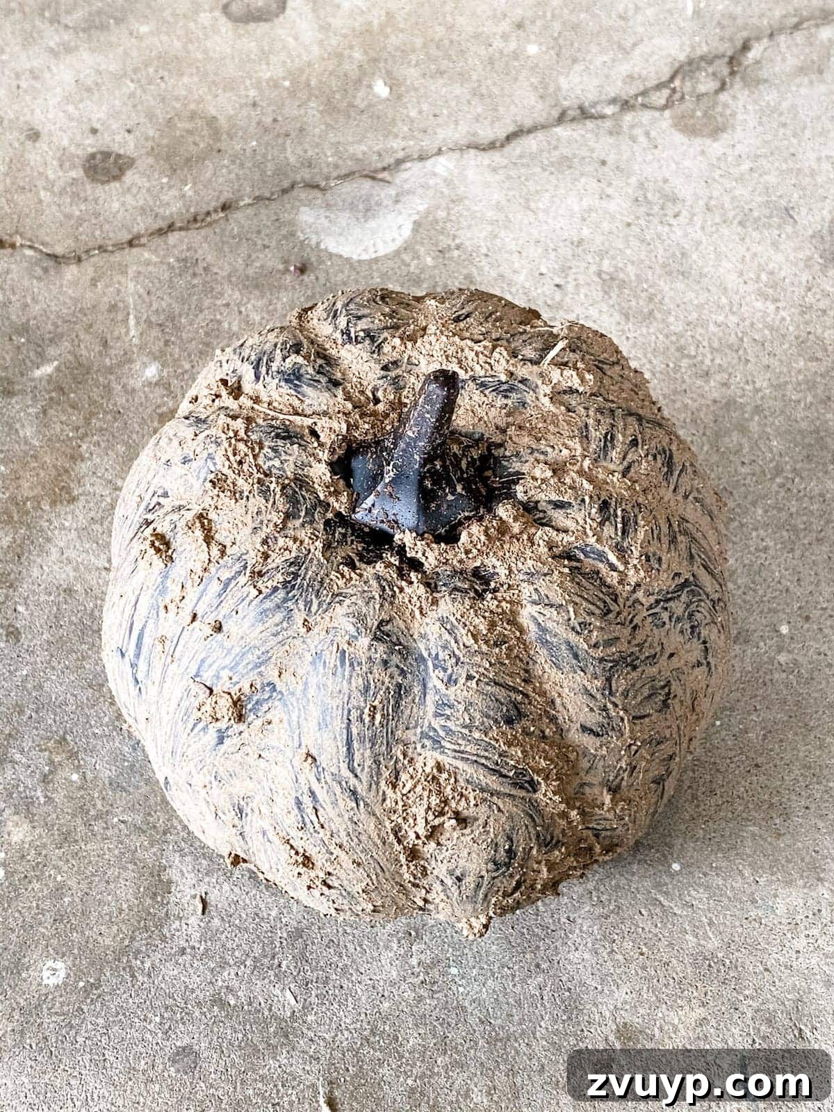 Modern Pumpkin Makeovers: 3 Creative Paint Ideas 11 Close-up of mud application on black pumpkin