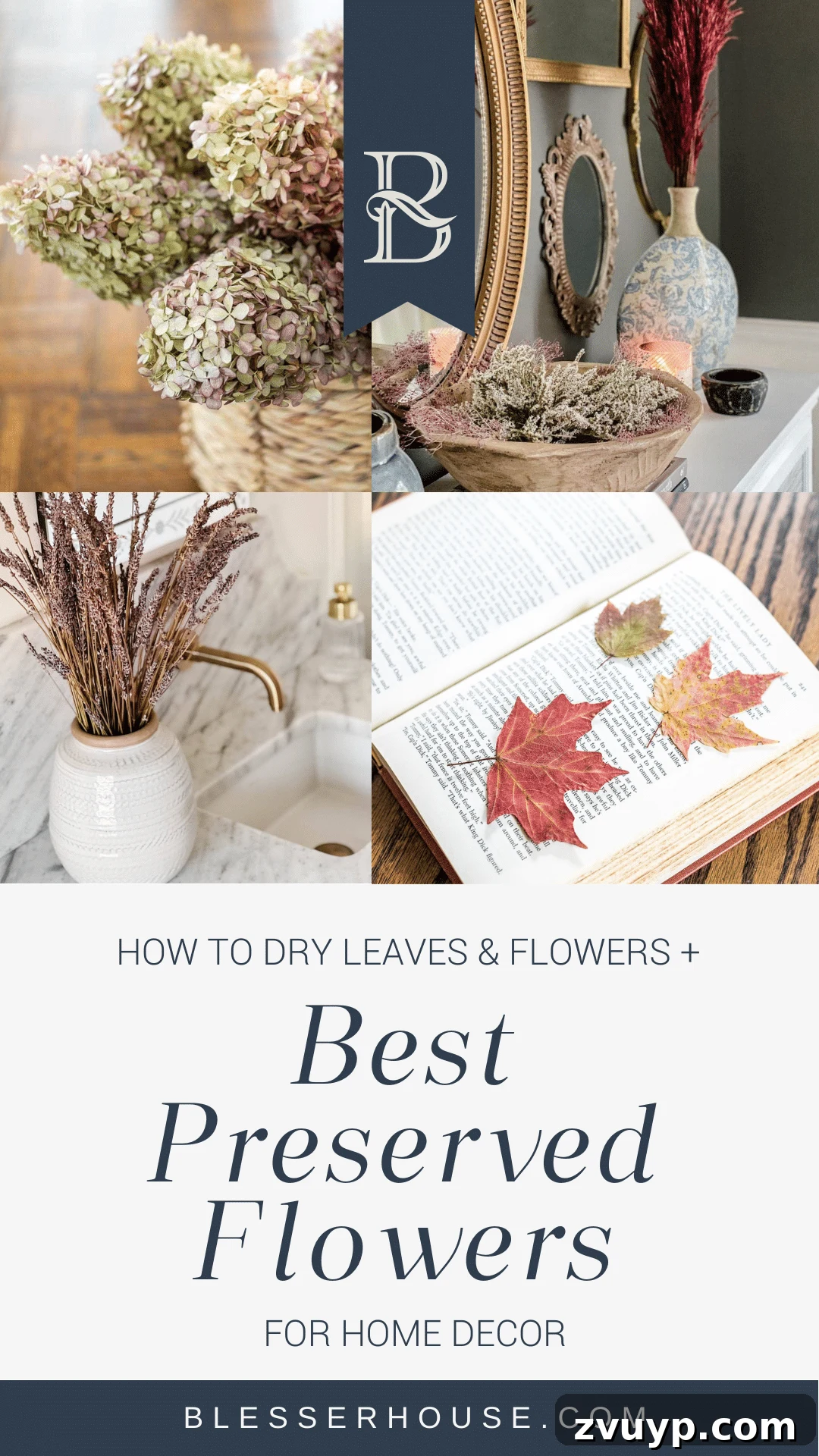 Everlasting Blooms: The Art of Preserving and Drying Flowers for Timeless Decor 2 Best preserved flowers and how to dry flowers and leaves for enchanting home decor