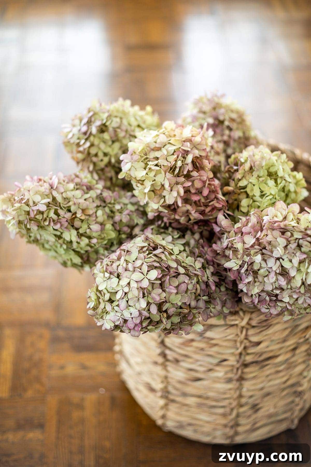 Everlasting Blooms: The Art of Preserving and Drying Flowers for Timeless Decor 7 Dried and preserved hydrangeas elegantly arranged in a basket