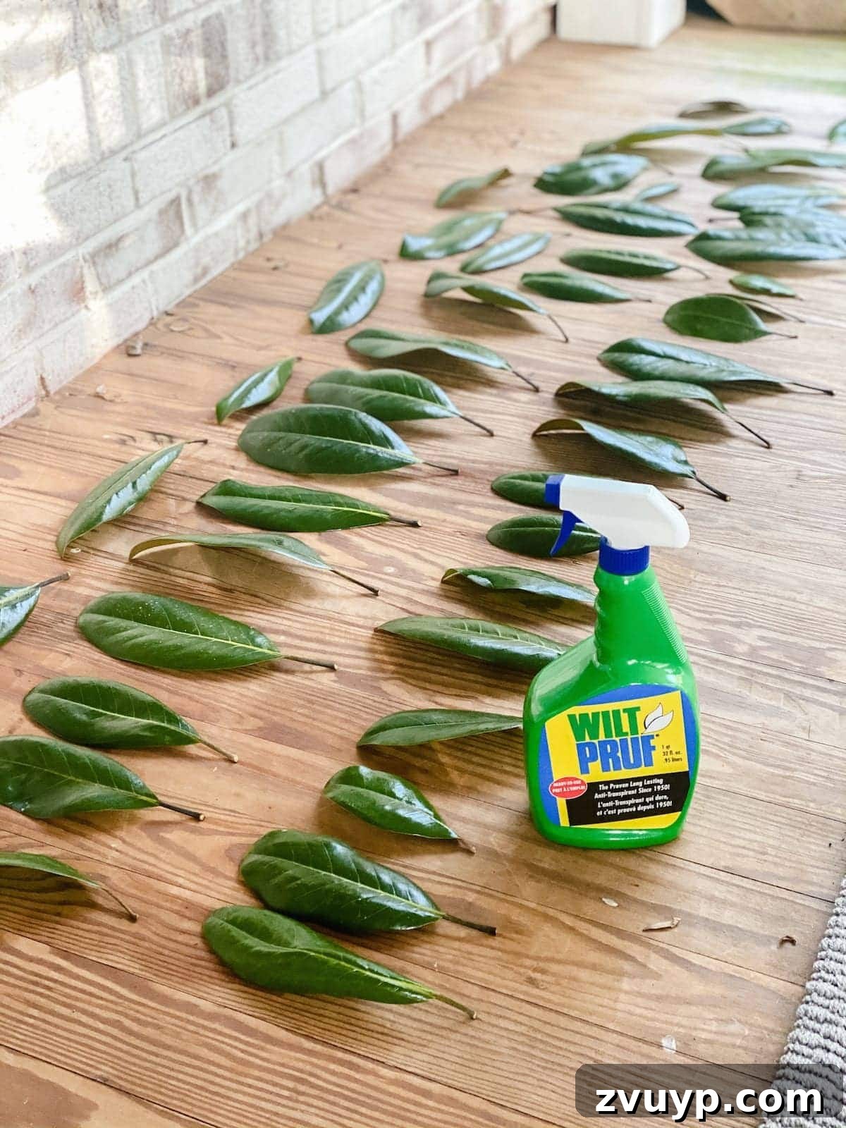 Crafting Natural Christmas Decor from Dried Fruit and Preserved Leaves 4 Applying WiltPruf to magnolia leaves to extend their freshness for Christmas decorations