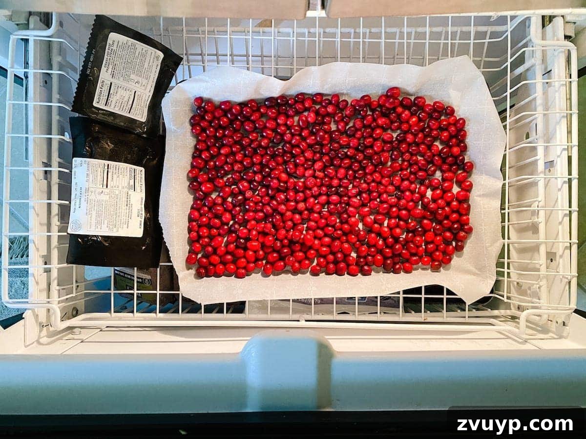 Crafting Natural Christmas Decor from Dried Fruit and Preserved Leaves 9 Beautifully dried cranberries on a baking sheet, ready for Christmas decorating projects