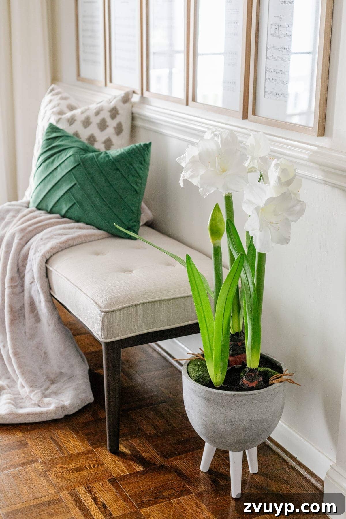 Christmas Sheet Music Wall Art Gallery 6 amaryllis planter