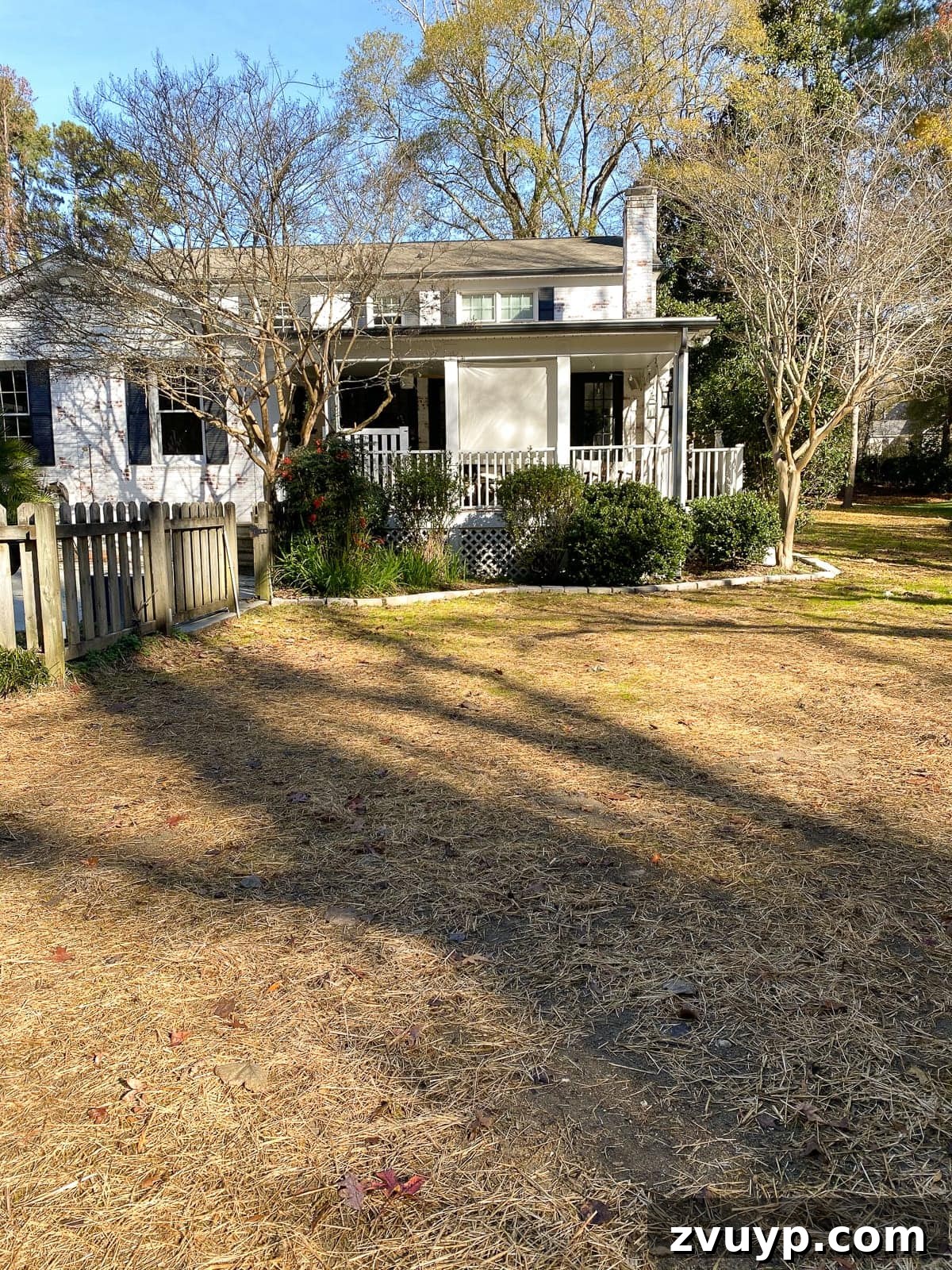 Weekend Wonder: DIY Pea Gravel Fire Pit 7 Backyard after initial grading and seeding, showing a cleared and prepared area for future landscaping.