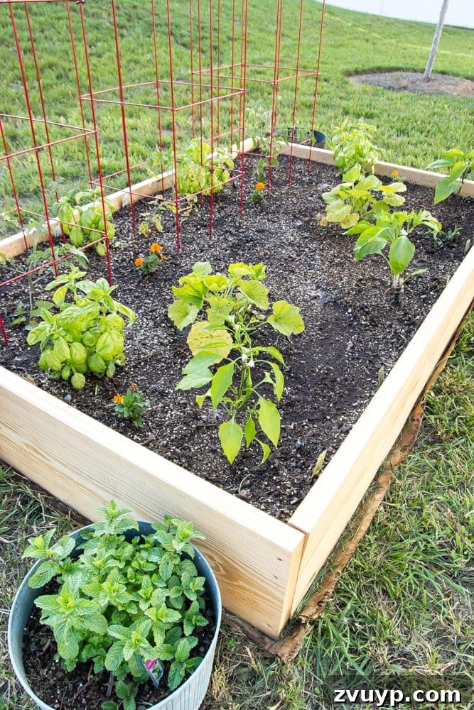 10 Spring DIY Projects for an Outdoor Oasis 14 Lush and thriving raised bed vegetable garden, perfect for beginners.