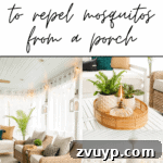 Mosquito-Proof Your Porch and Patio 10 img 38809 14