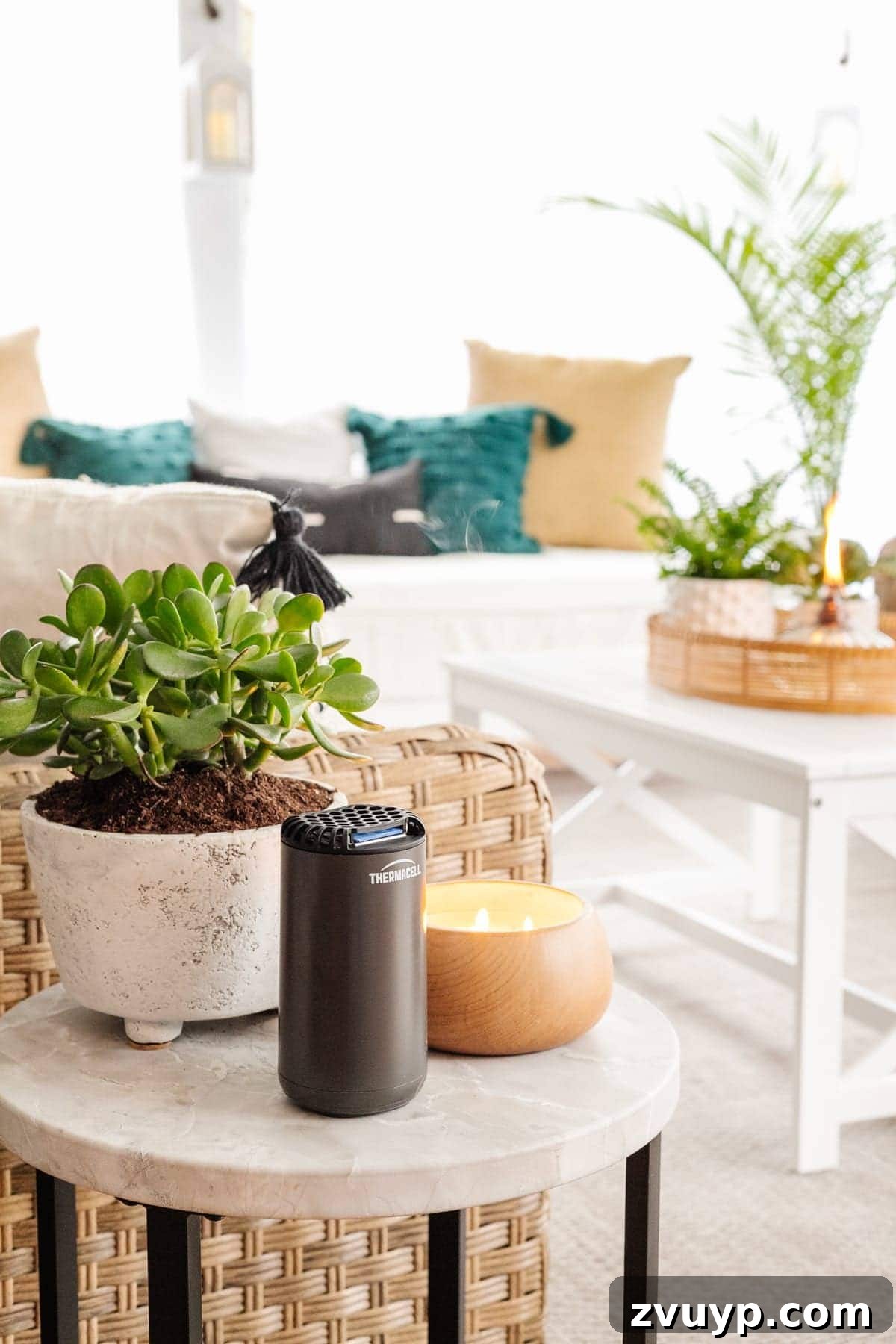 Mosquito-Proof Your Porch and Patio 4 mosquitos repellent