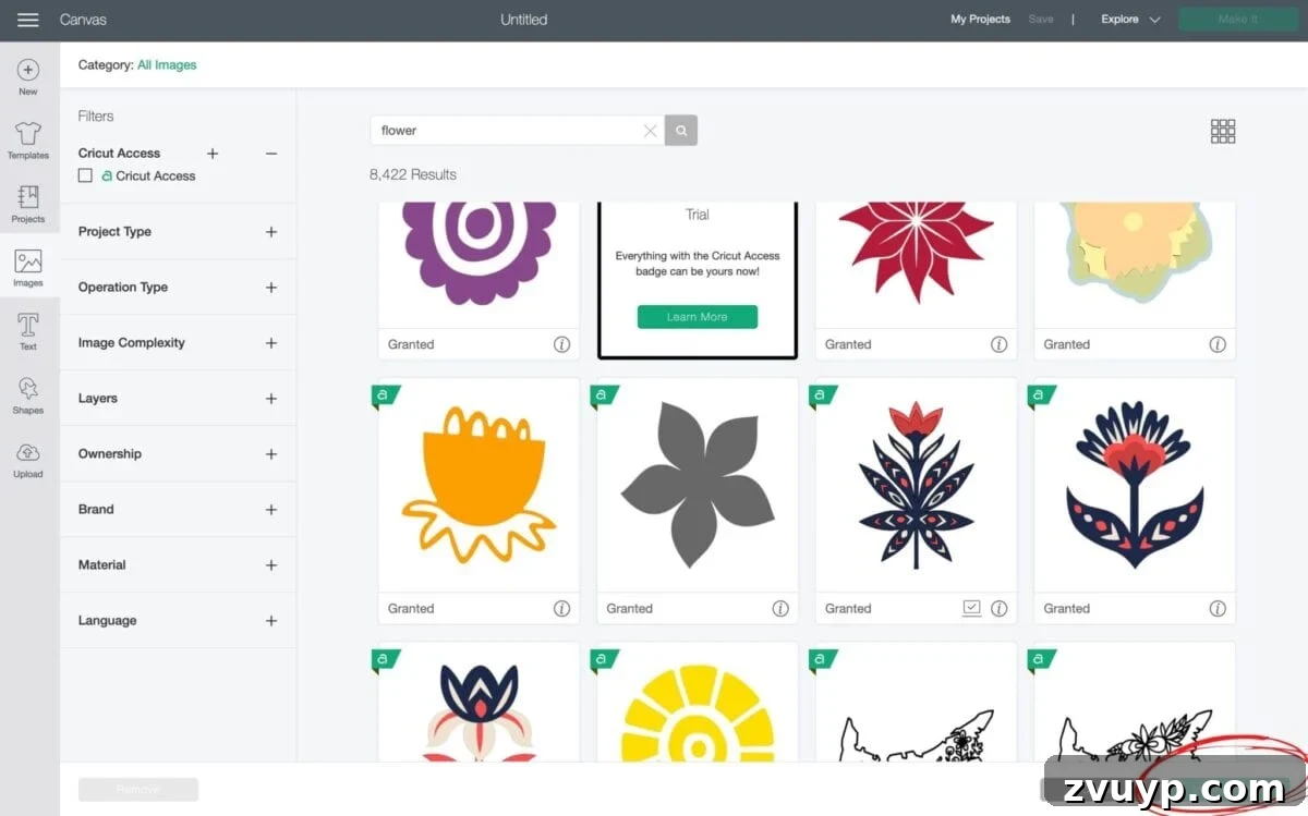 Craft a Custom Floral Outdoor Rug with a Cricut Stencil 4 Screenshot of Cricut Design Space showing selection of a flower image for stencil