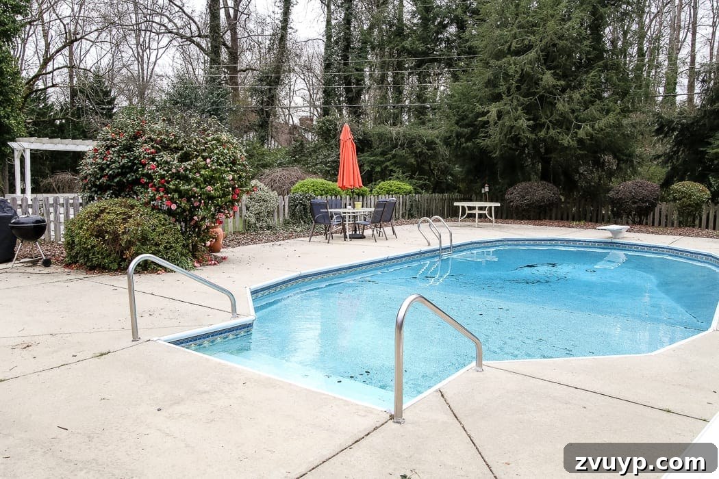Build Your Own Backyard Oasis: A DIY Luxury Pool Cabana Pergola 17 backyard before any renovation, showing overgrown and dated elements