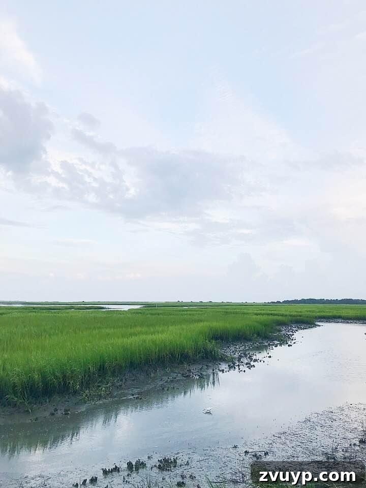 Charlotte's Best: A Local's Personal Picks 4 Murrells Inlet, SC