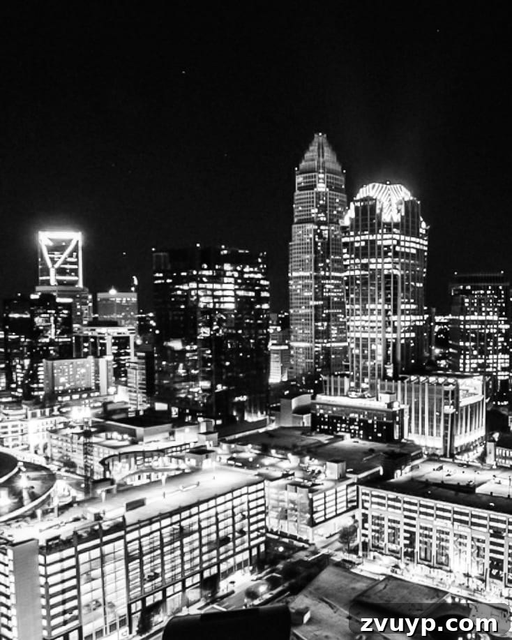 Charlotte's Best: A Local's Personal Picks 5 Fahrenheit Charlotte Skyline View