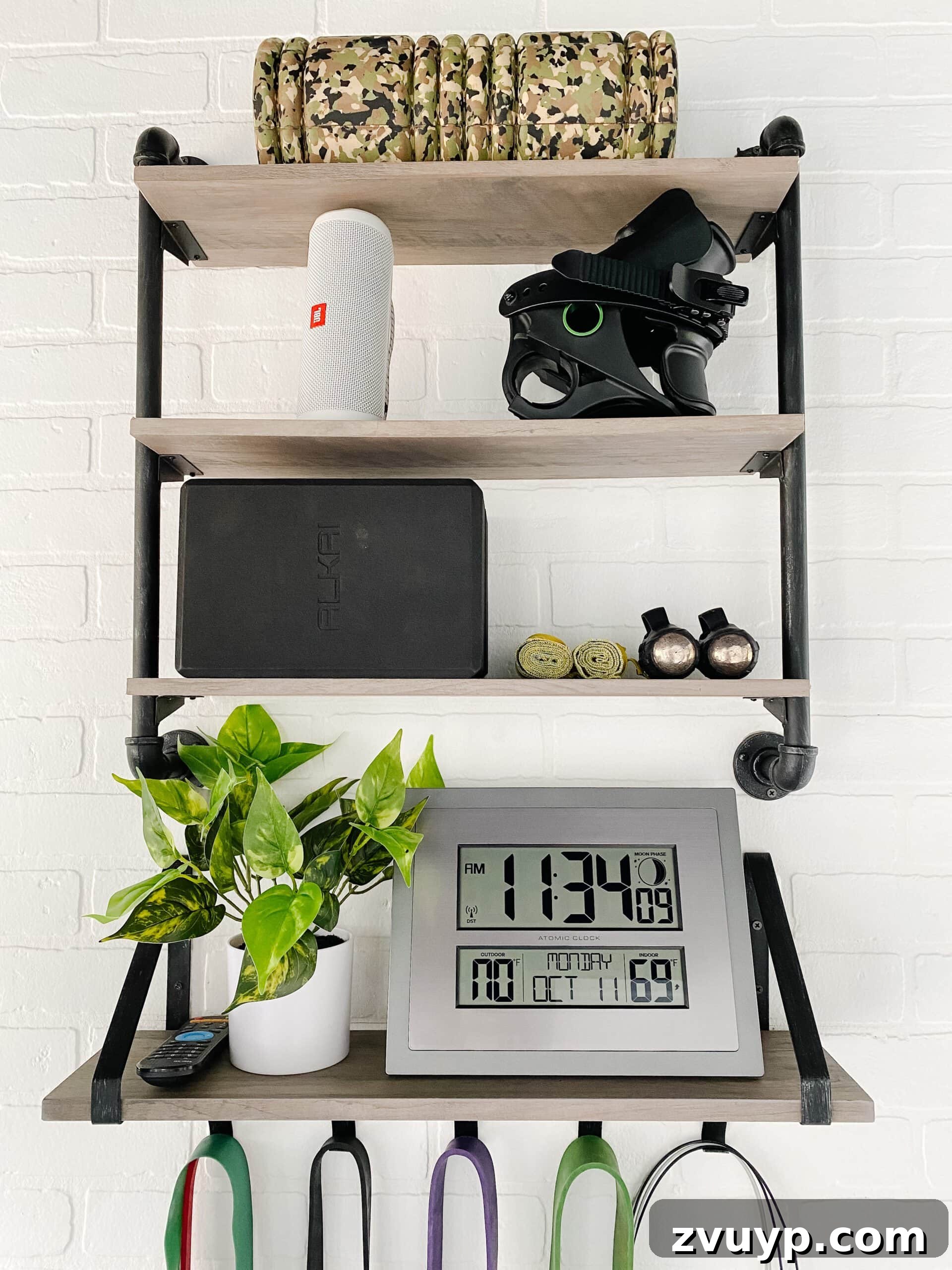 Budget Shed Gym Transform Your Space into a Home Fitness Zone 7 wall shelves for storing small gym equipment and a plant